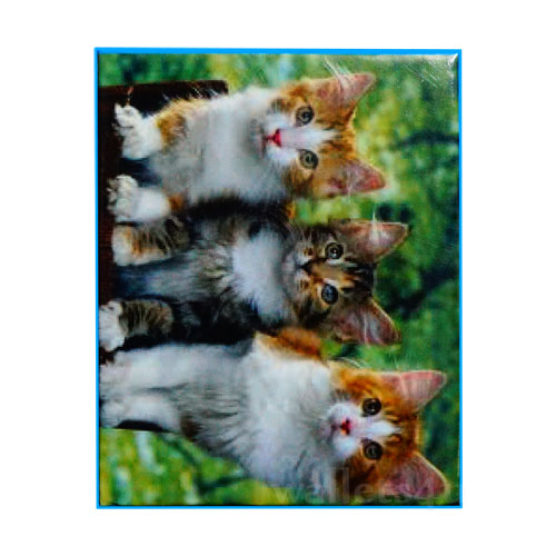 *Magic Wallet, Cats - MWAP0068
